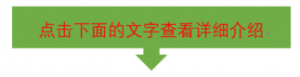 《大禄瑞独家揭秘：让每个网络新手快速赚取第一桶金！》